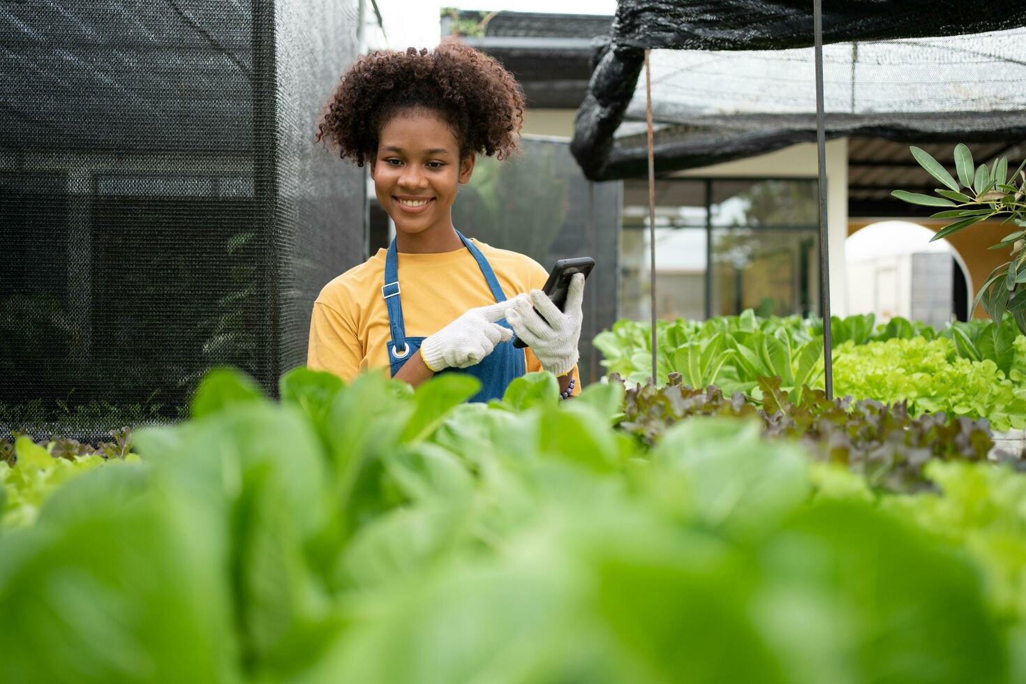 ritratto di contento mezzo tailandese metà africano donna contadino in piedi dietro a un' verdura tracciare e utilizzando smartphone per dai un'occhiata ordine. concetto di agricoltura biologico per Salute, vegano cibo e piccolo attività commerciale. foto