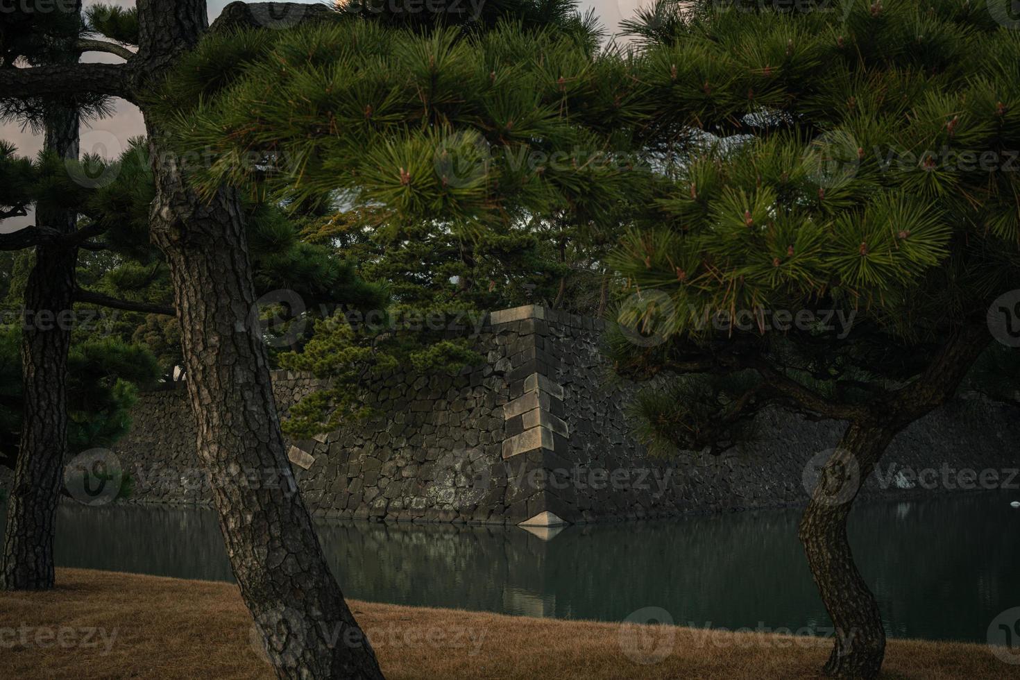 castello di edo a tokyo, giappone in inverno foto