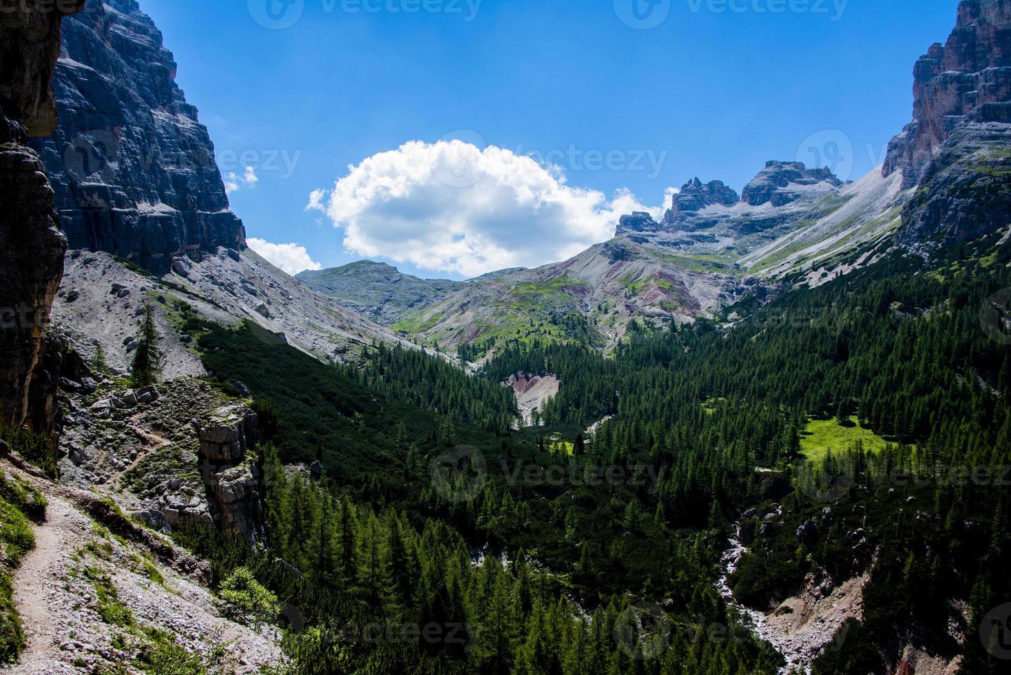 valle verde delle dolomiti foto