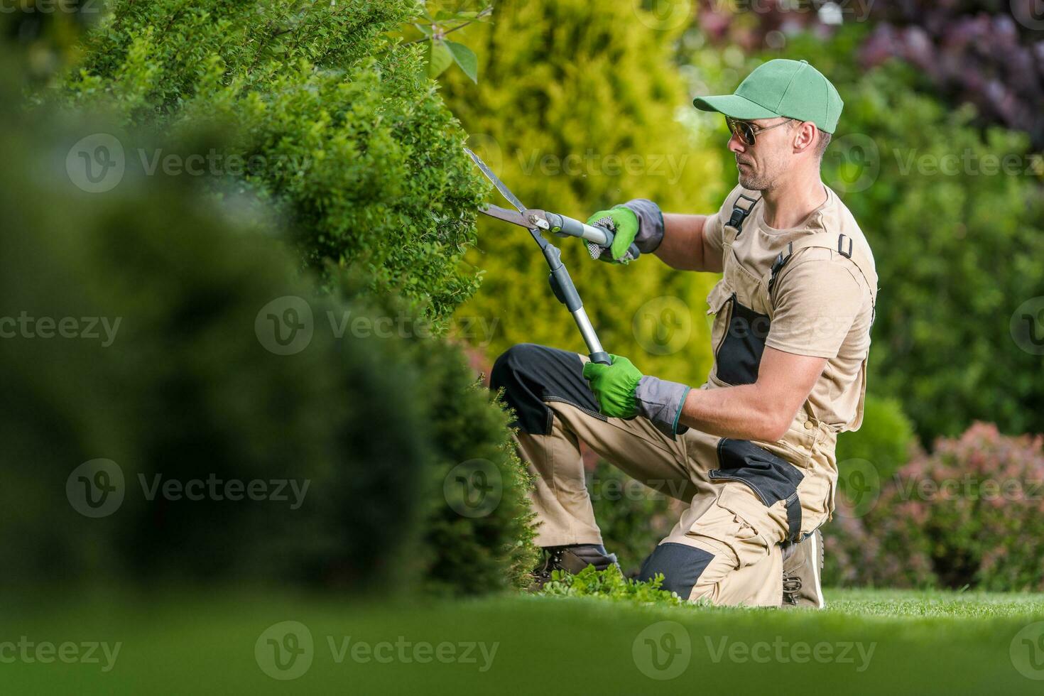 professionale giardiniere l'esecuzione giardino impianti Manutenzione foto