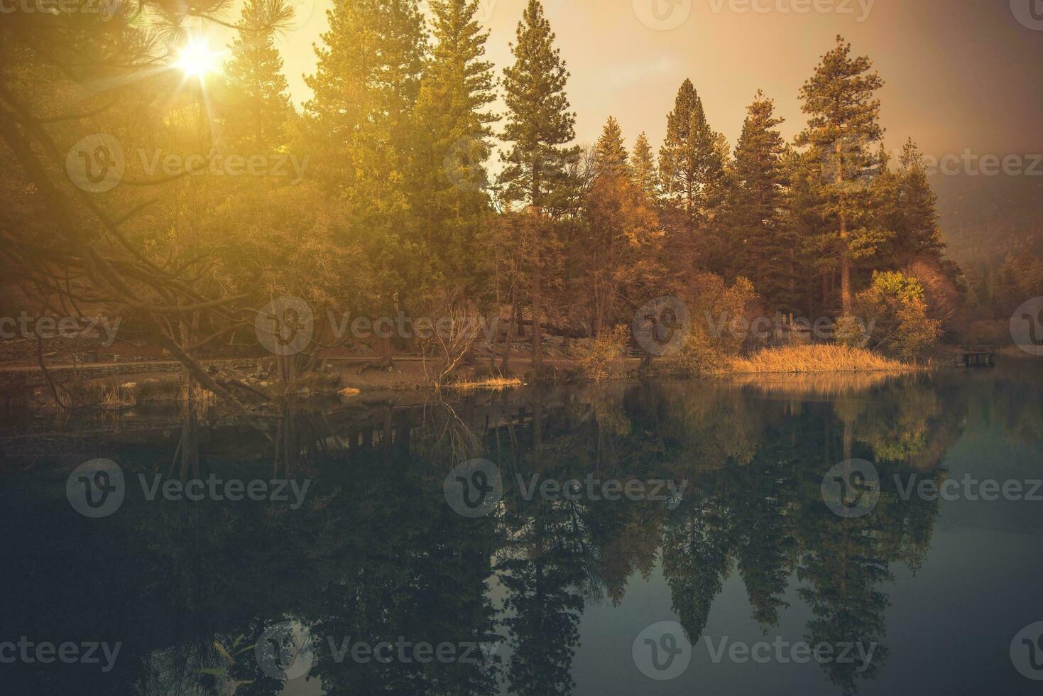 mattina a il lago foto