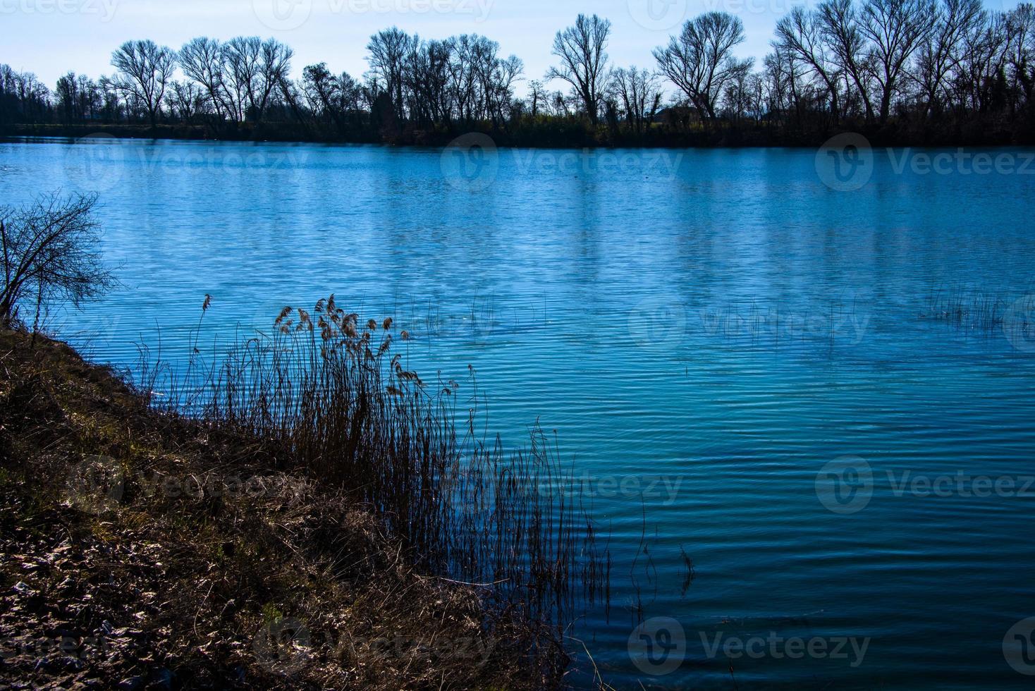 Rive del fiume Brenta a Piazzola sul Brenta, Padova, Italia foto