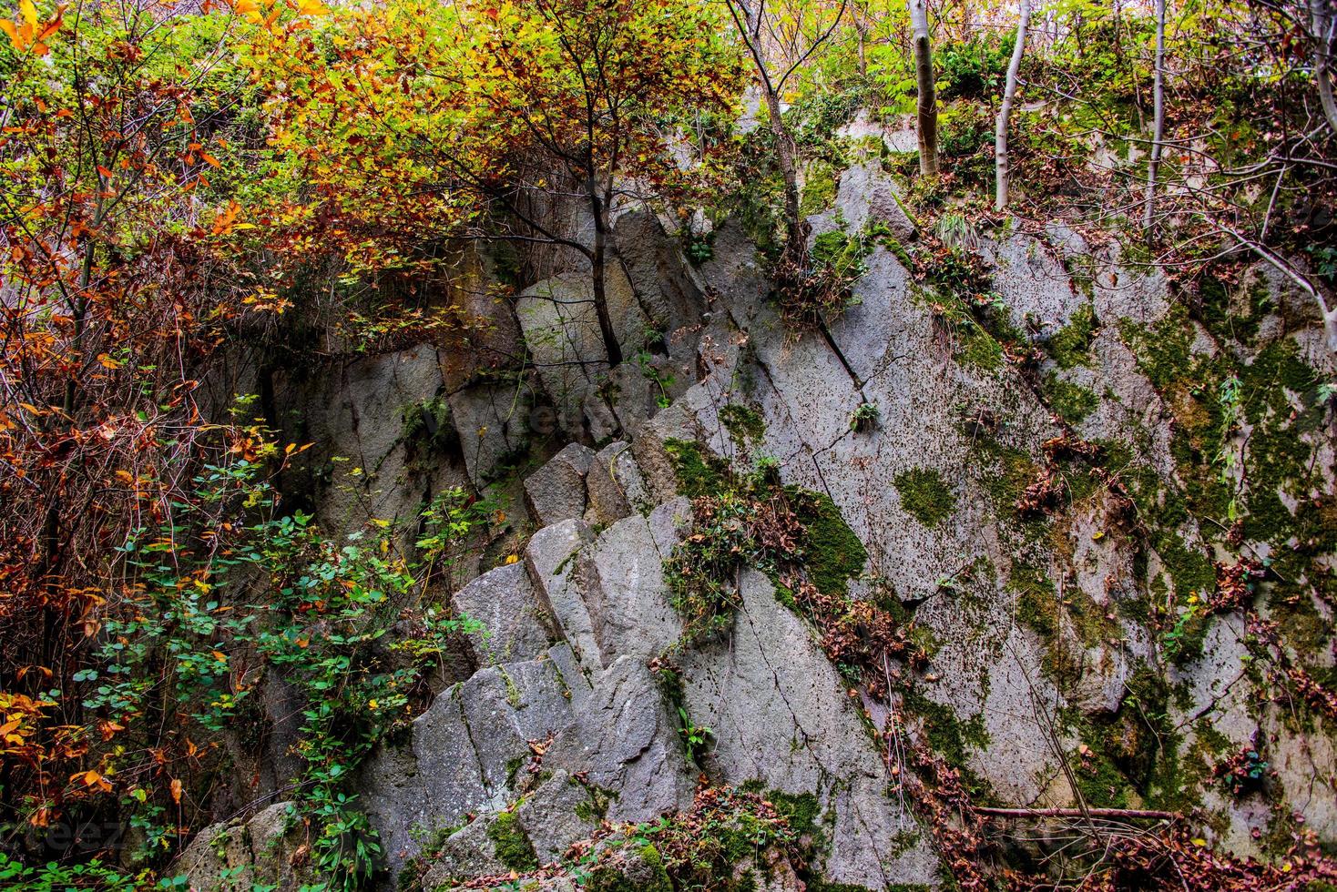 Cava di riolite sul monte cinto, a cinto euganeo, padova, italia foto