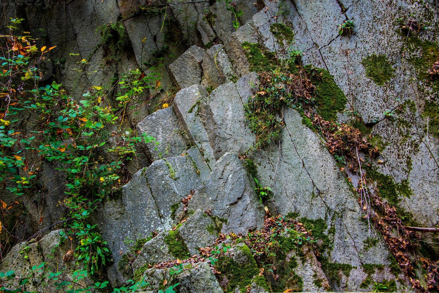 Cava di riolite sul monte cinto, a cinto euganeo, padova, italia foto