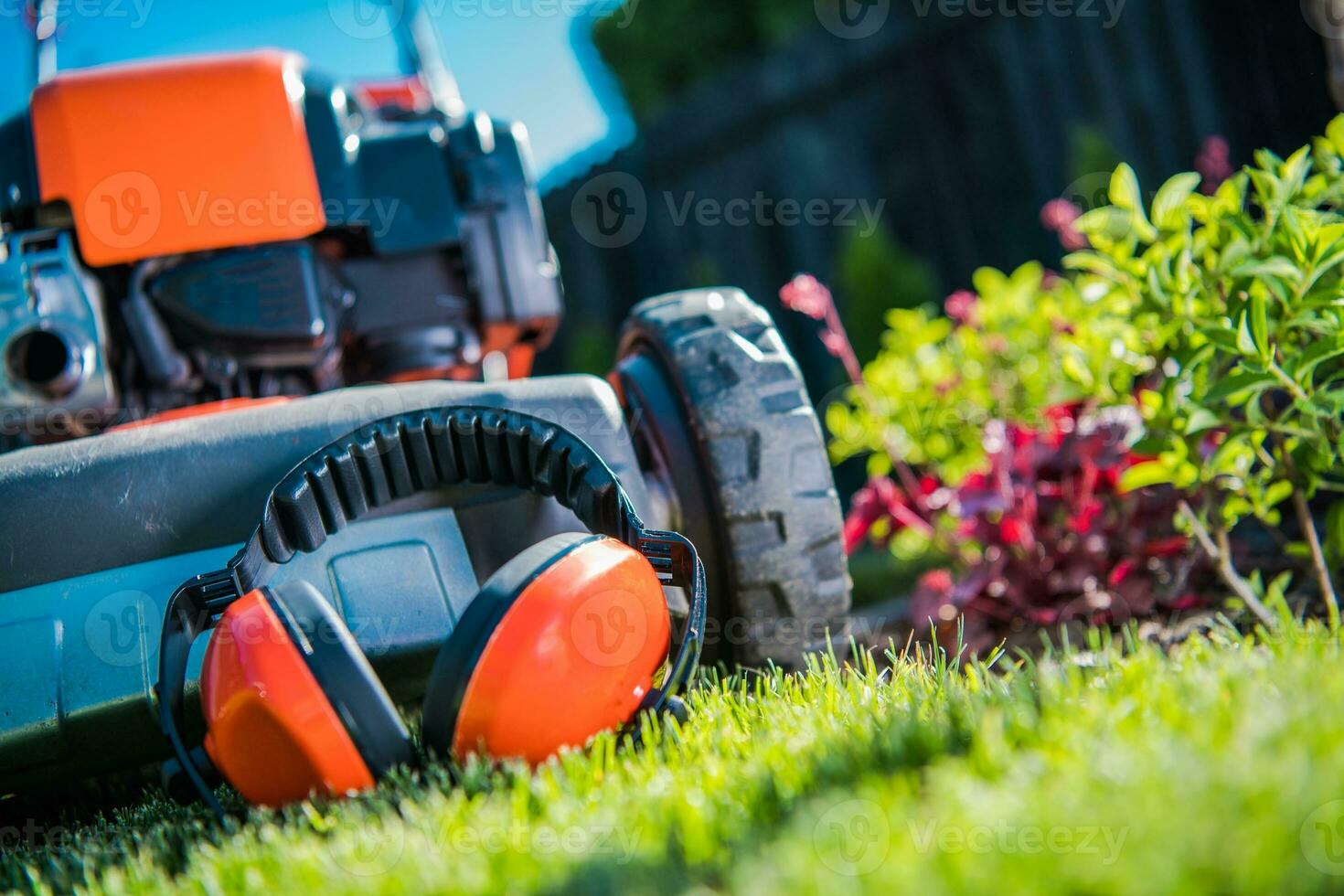 udito protezione nel giardino foto