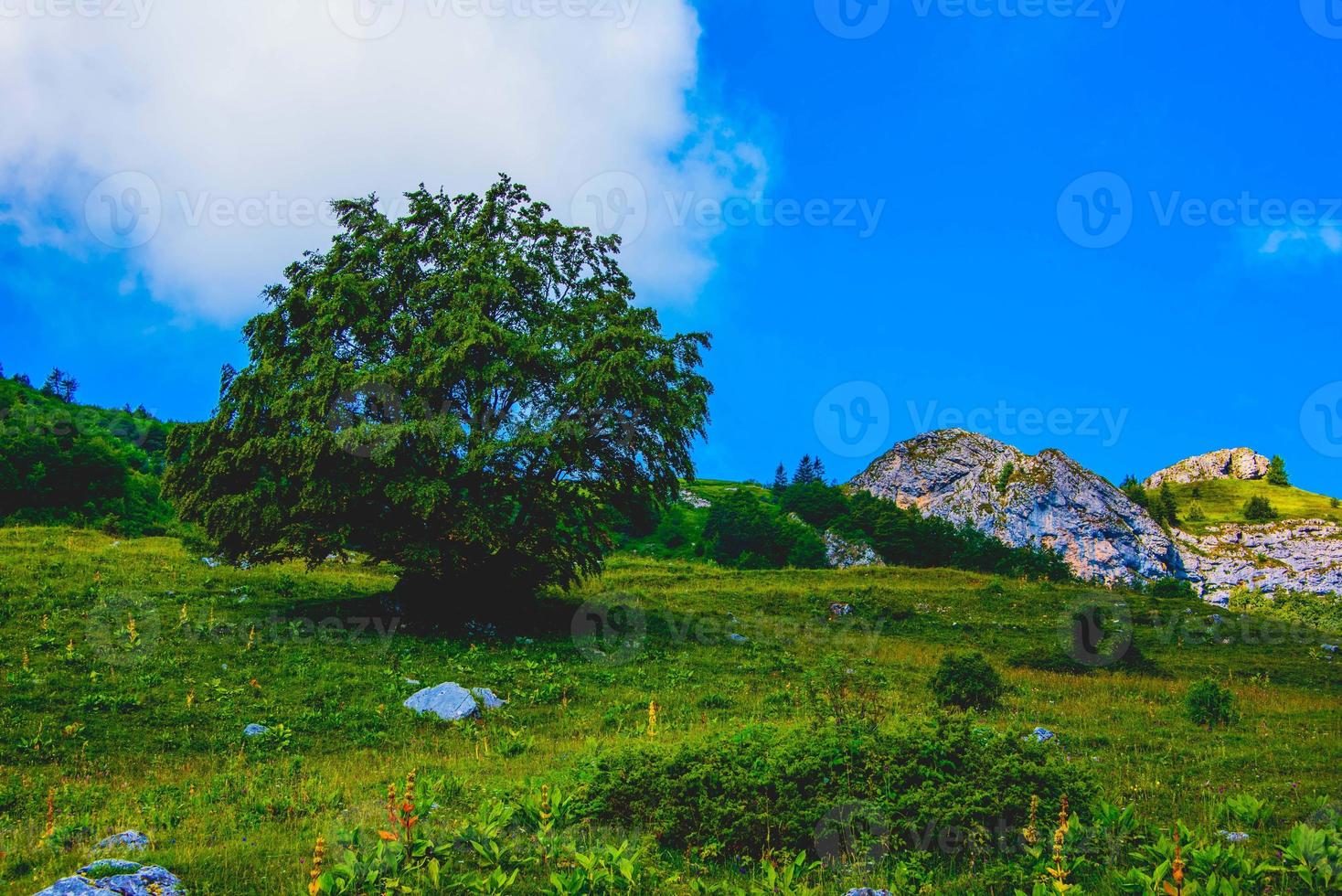 prati e cime del monte altissimo di nago a trento, italia foto