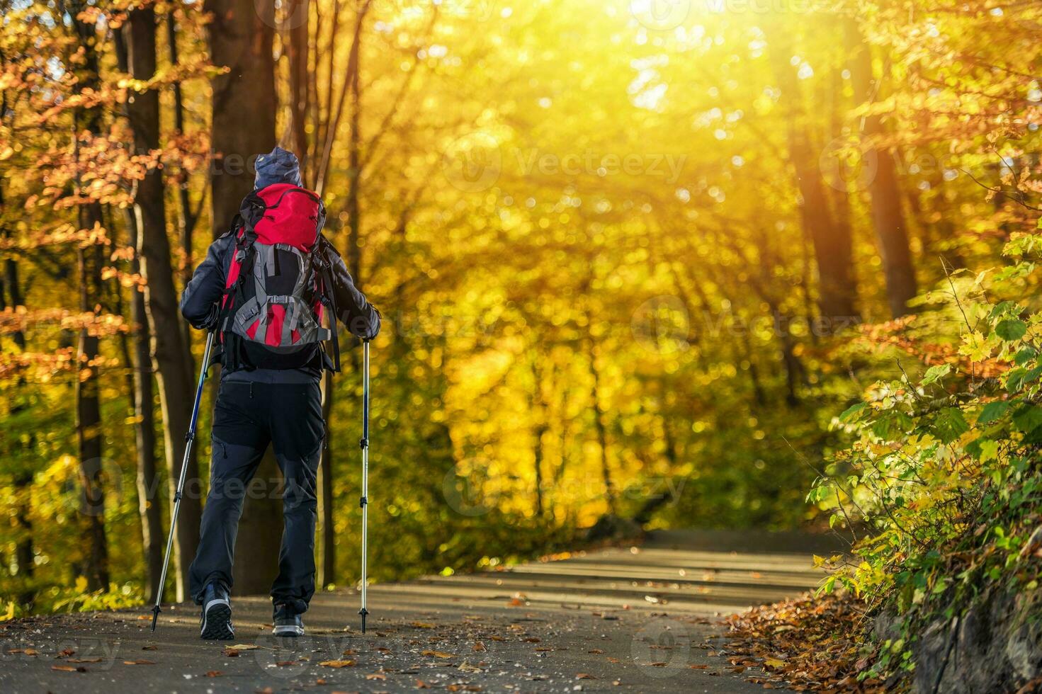 autunno tempo foresta il trekking foto