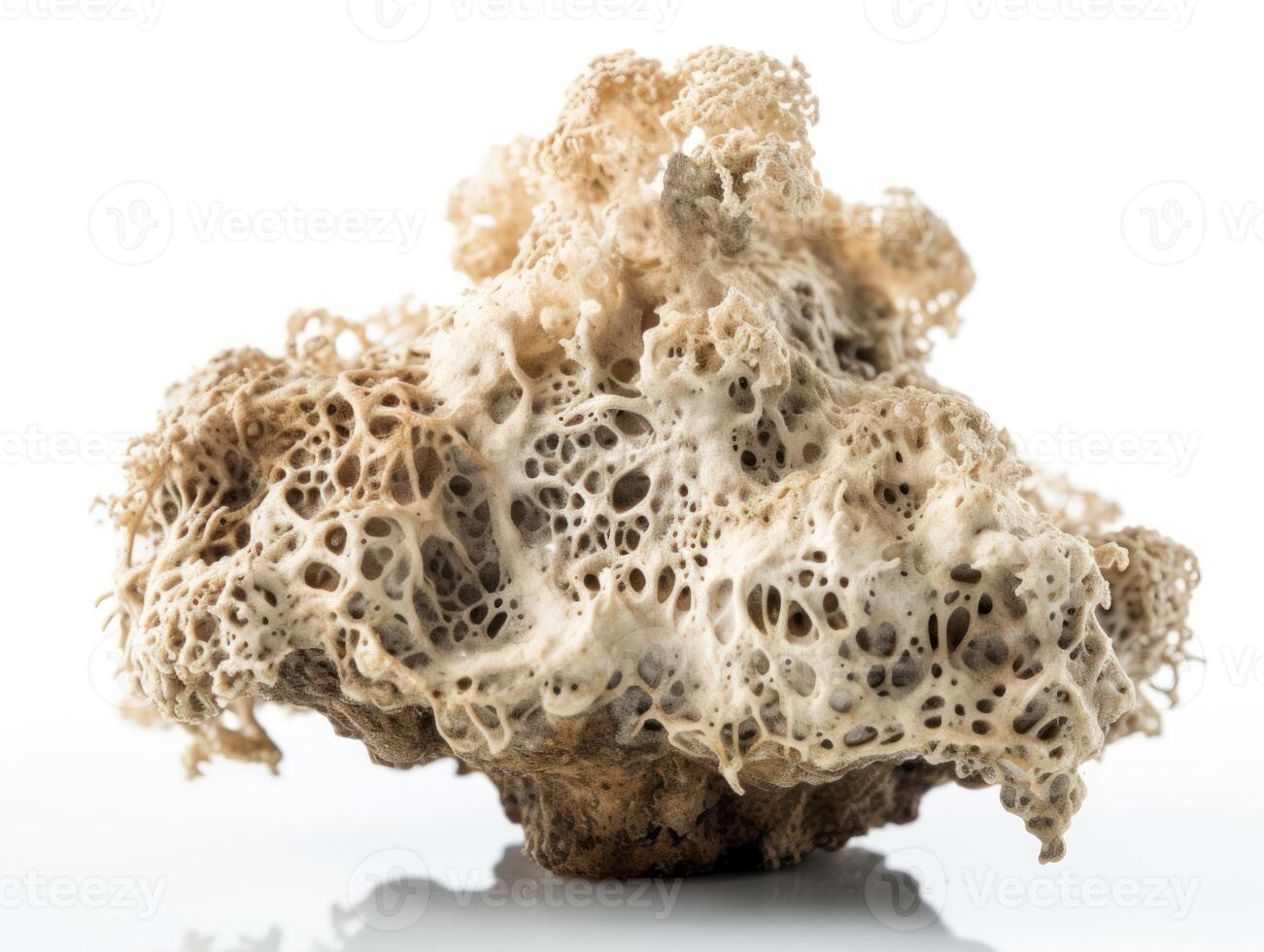 funghi creato con generativo ai tecnologia foto