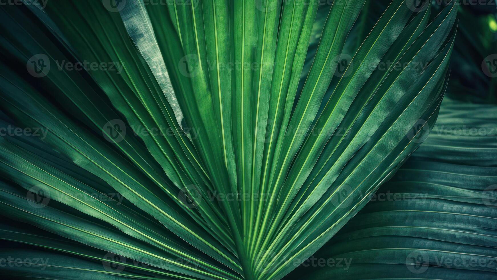 bellissimo verde palma le foglie sfondo. tropicale natura concetto. selettivo messa a fuoco. creato con generativo ai tecnologia. foto