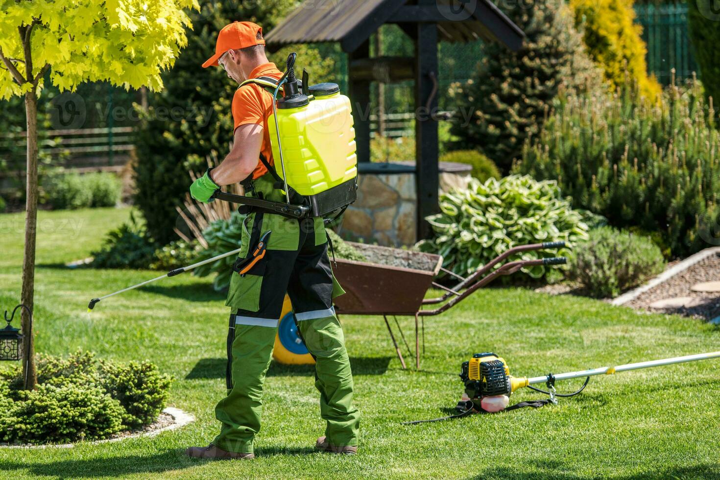 professionale giardiniere l'esecuzione giardino spruzzatura foto