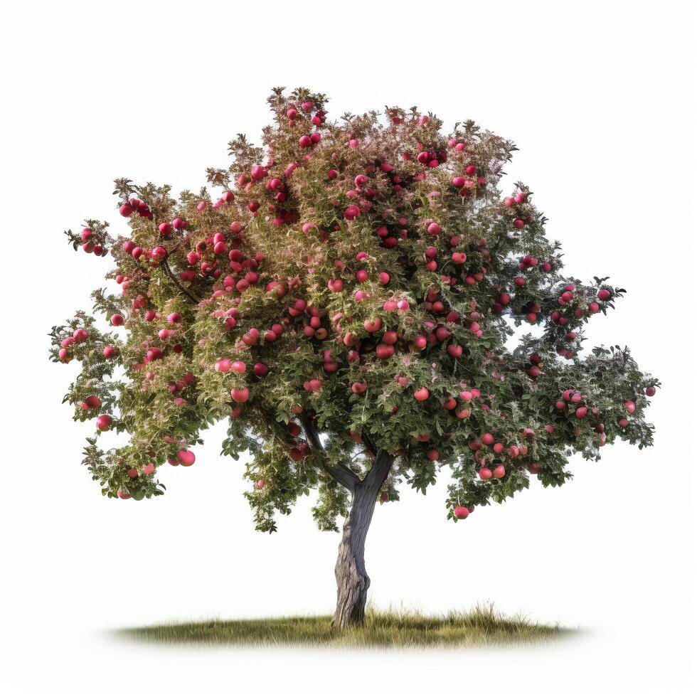 Mela albero isolato. illustrazione ai generativo foto