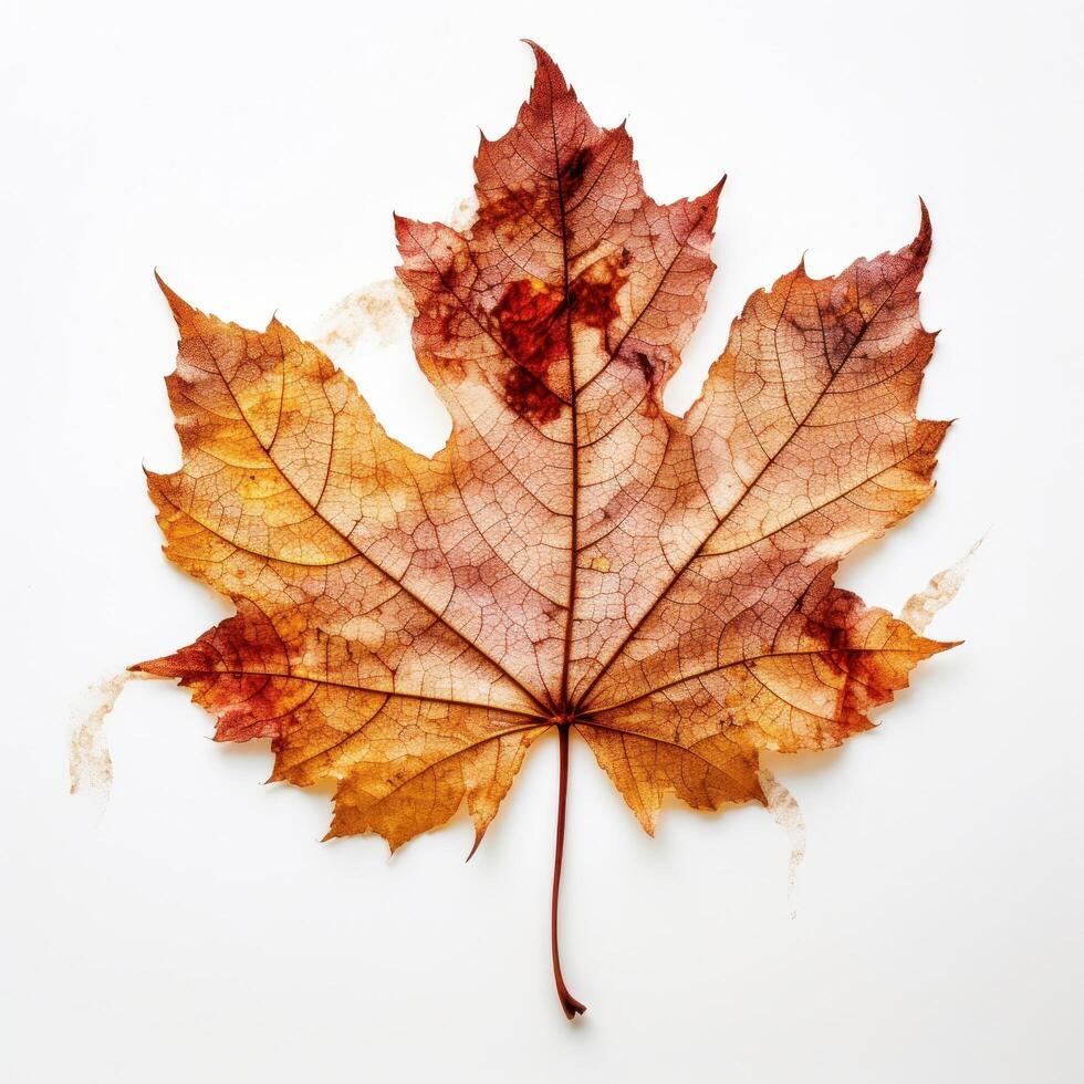 autunno foglia isolato. illustrazione ai generativo foto