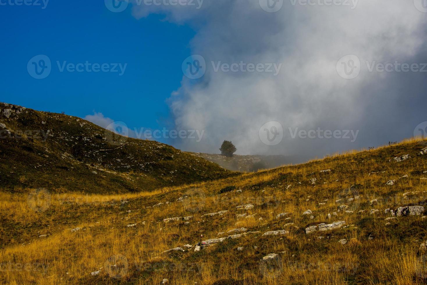 pascoli alpini circondati dalle vette delle prealpi veronesi foto