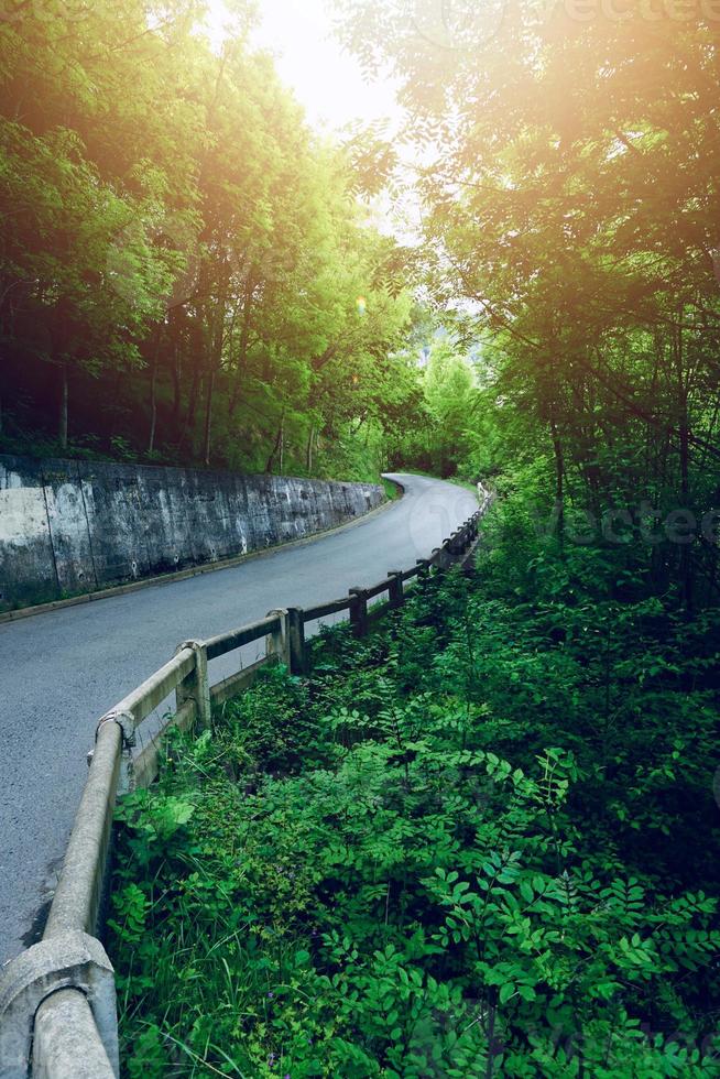 strada con alberi verdi in montagna a bilbao in spagna foto