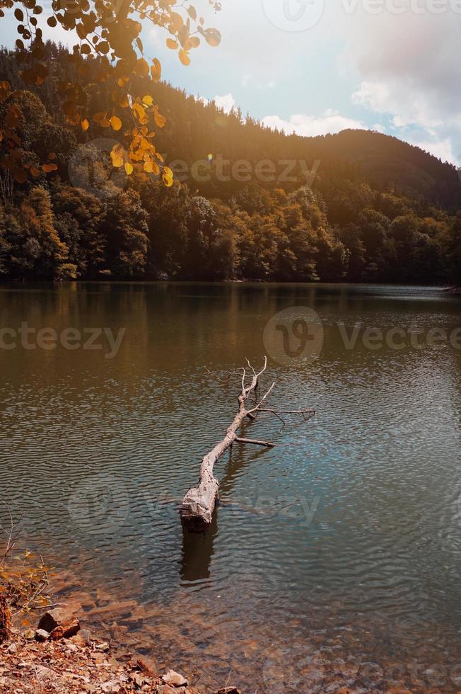 lago di montagna a bilbao in spagna foto