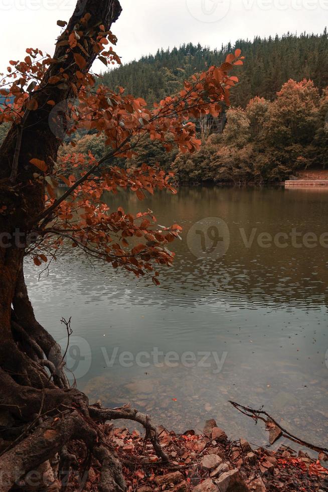 lago di montagna a bilbao in spagna foto