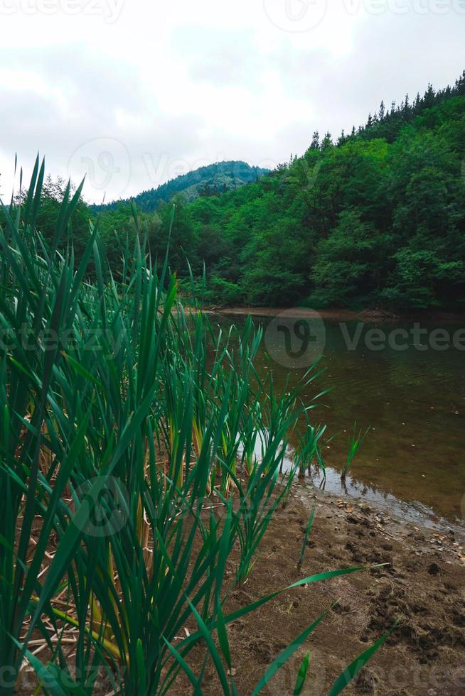 lago in montagna foto