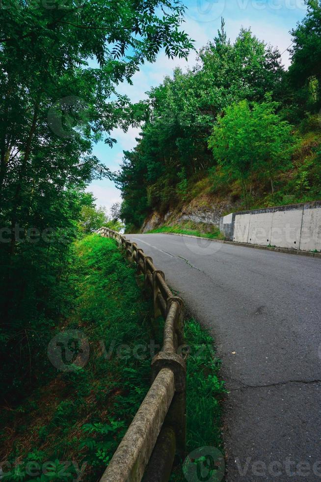 strada con alberi verdi in montagna foto