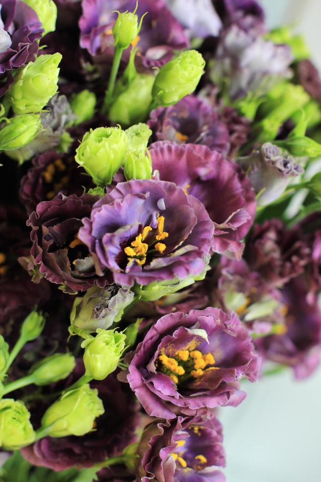 bouquet di fiori di eustoma foto