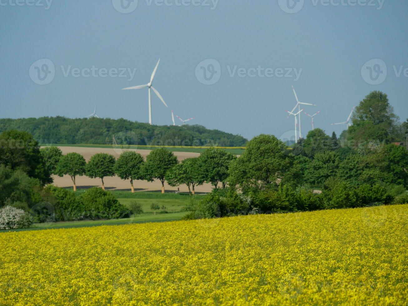 primavera tempo nel westfalia foto