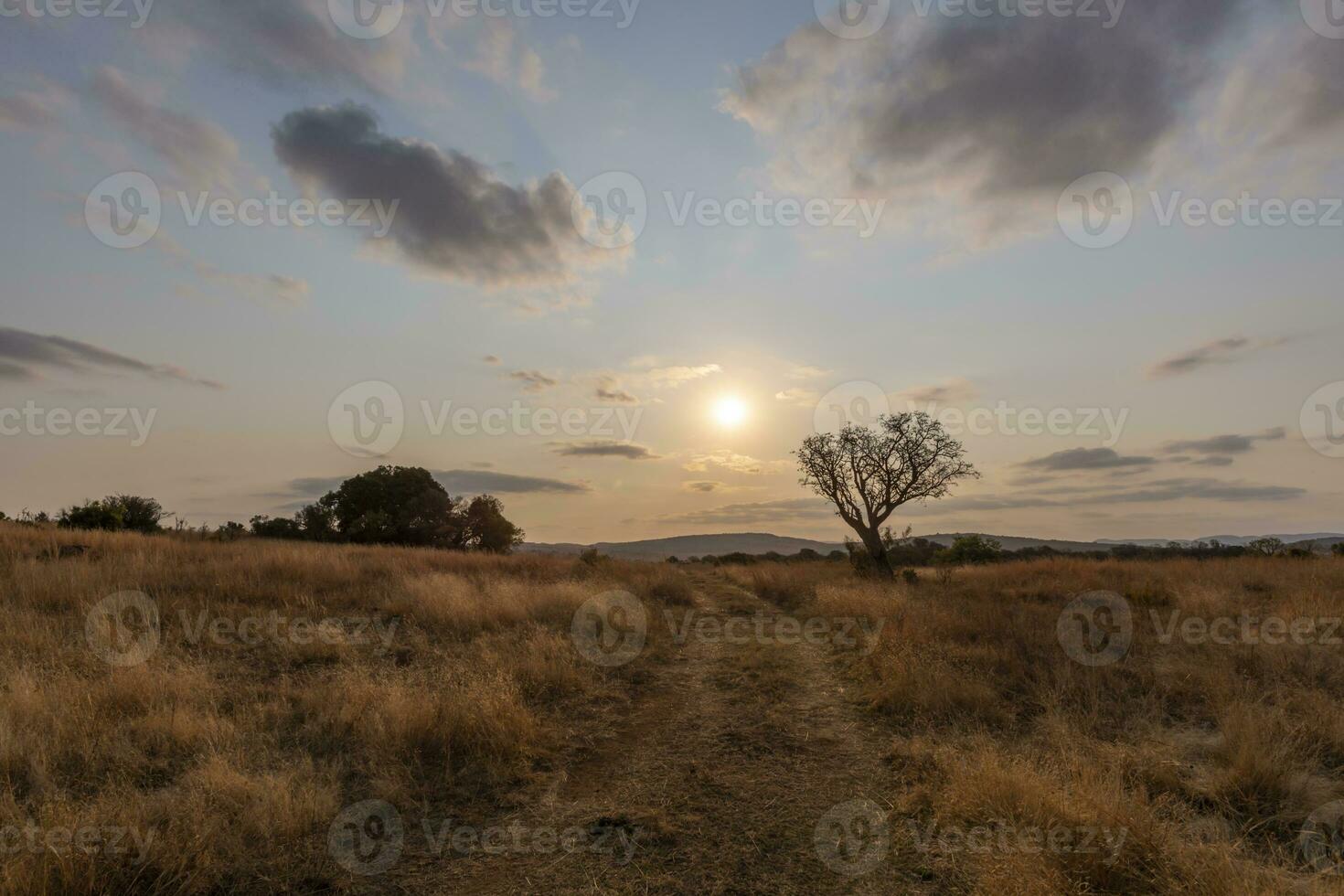 in ritardo pomeriggio sole e grigio inverno erba foto