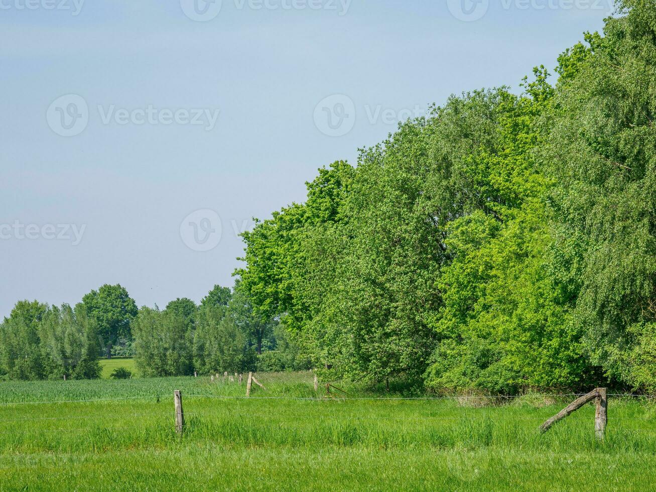 primavera tempo nel Germania foto