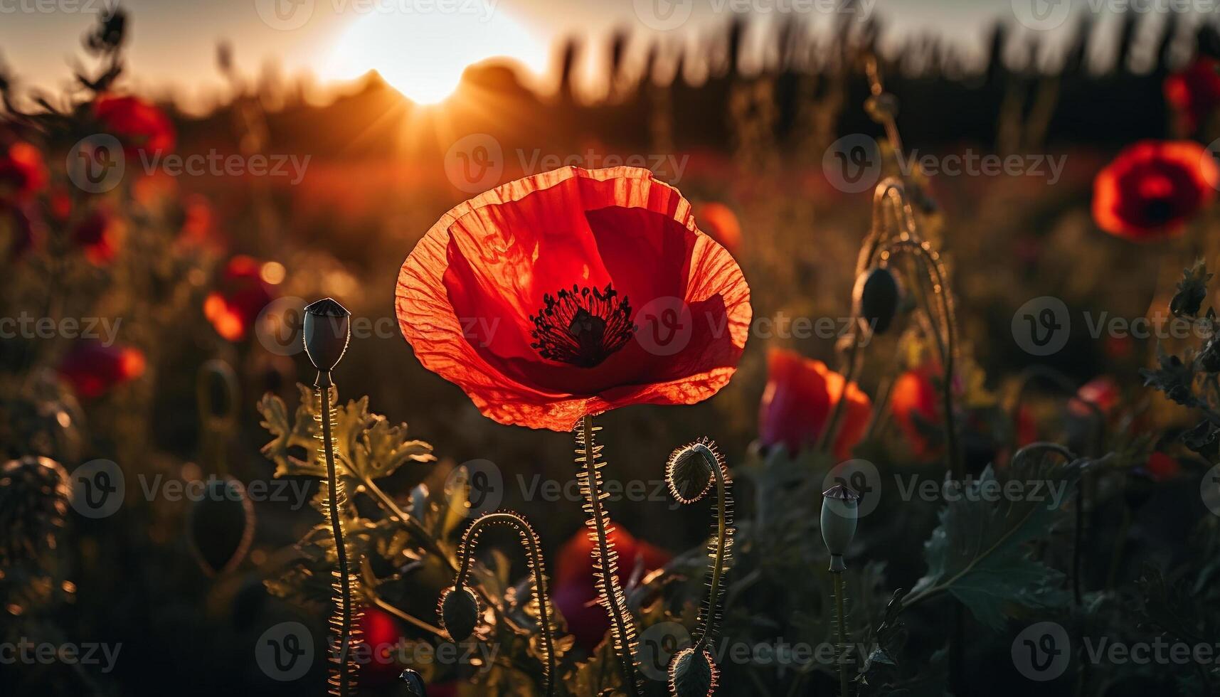 vivace Fiore di campo prato a crepuscolo, bellezza nel natura vicino su generato di ai foto