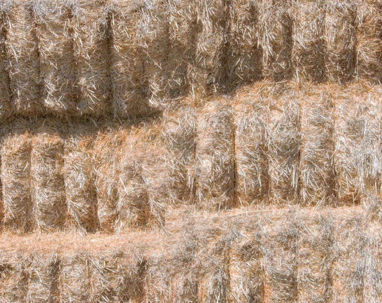 con texture di sfondo alpaca di paglia in un campo di coltura foto