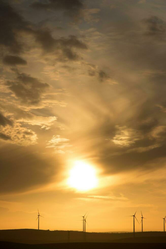 Alba nel il campo alto contrasto foto