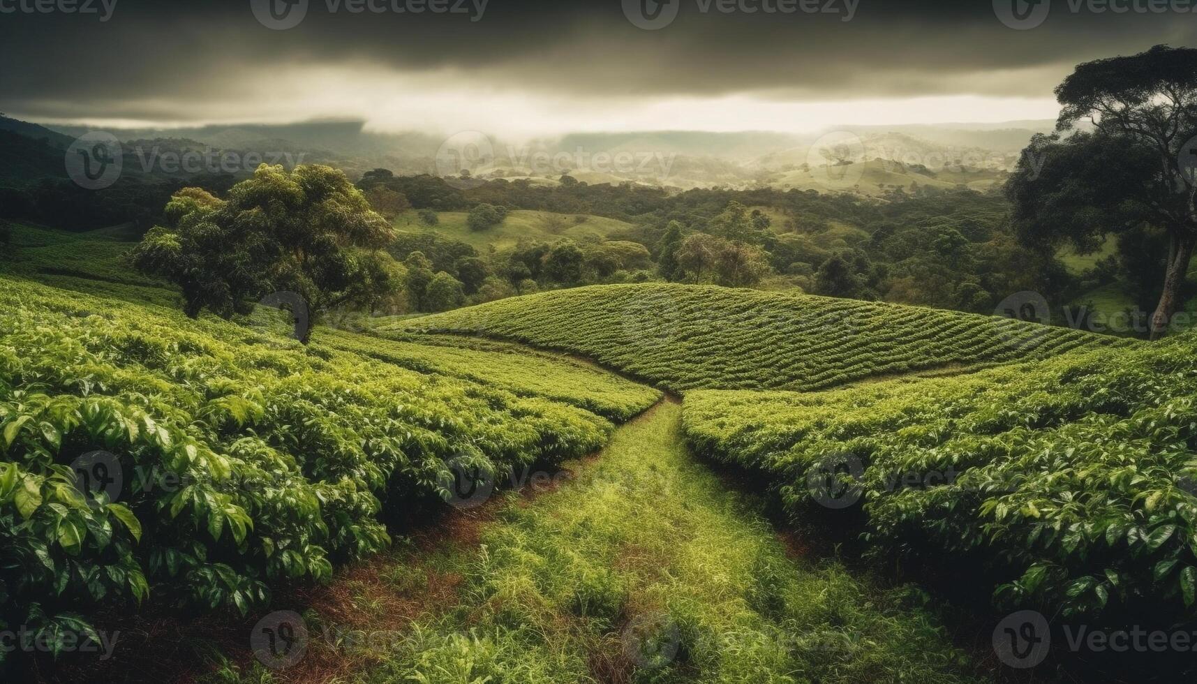 tranquillo tè azienda agricola annidato nel cameron altopiani idilliaco montagna gamma generato di ai foto