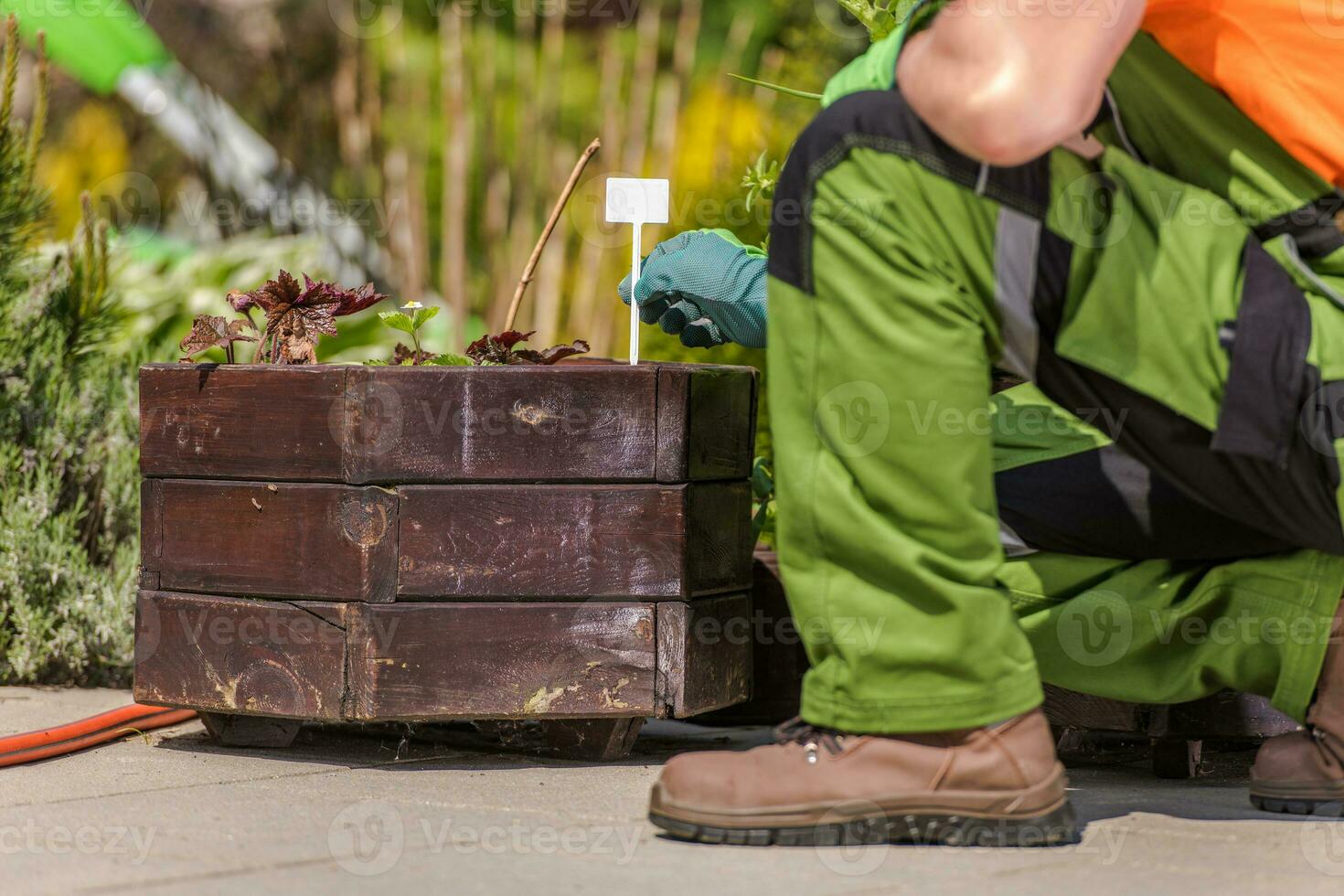 giardiniere tag verdura nel fioriere. foto