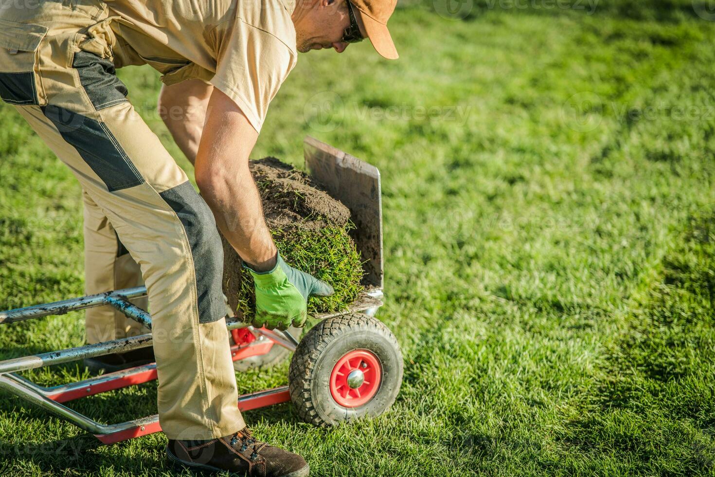 giardiniere emorroidi rotoli di zolla erbosa su dolly carrello. foto