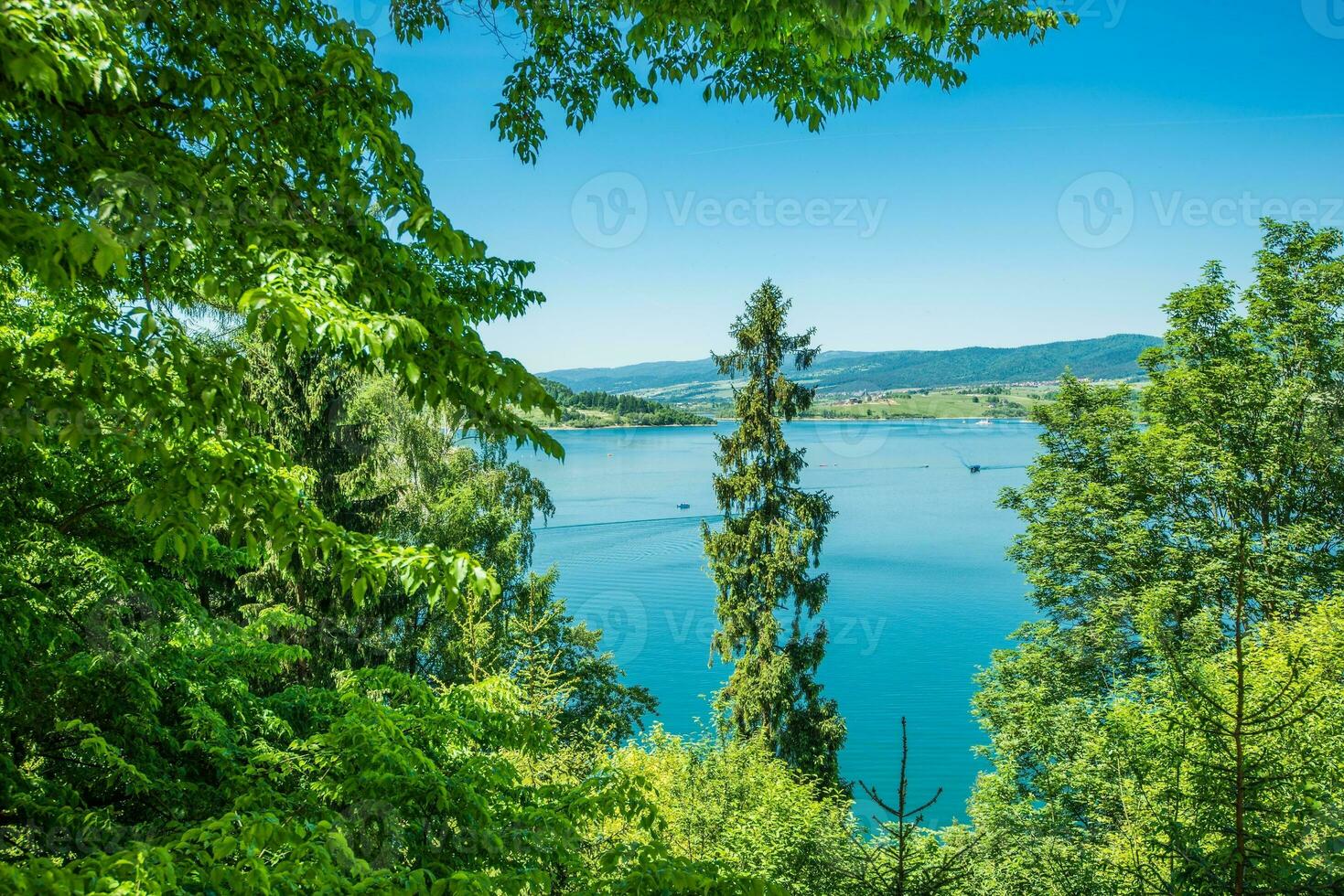 lago czorsztyn Visualizza foto