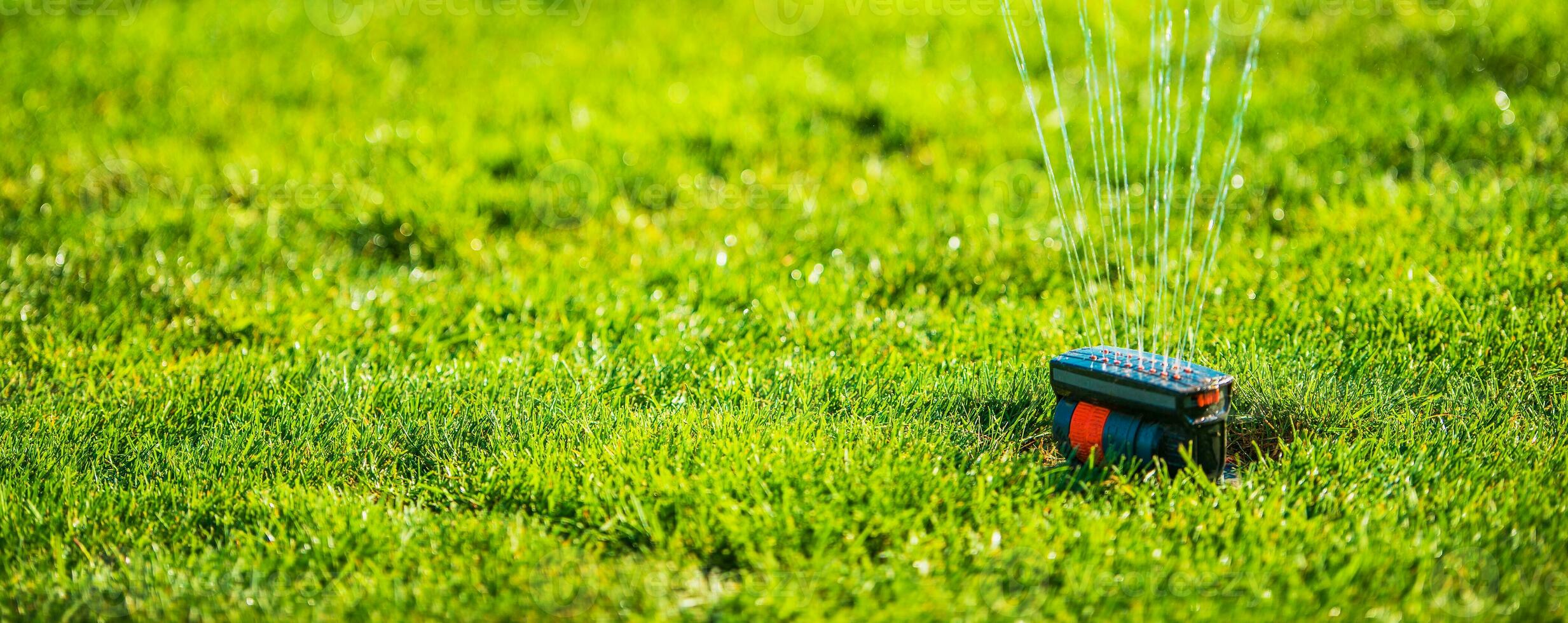 spruzzatore testa spruzzatura acqua su prato. foto