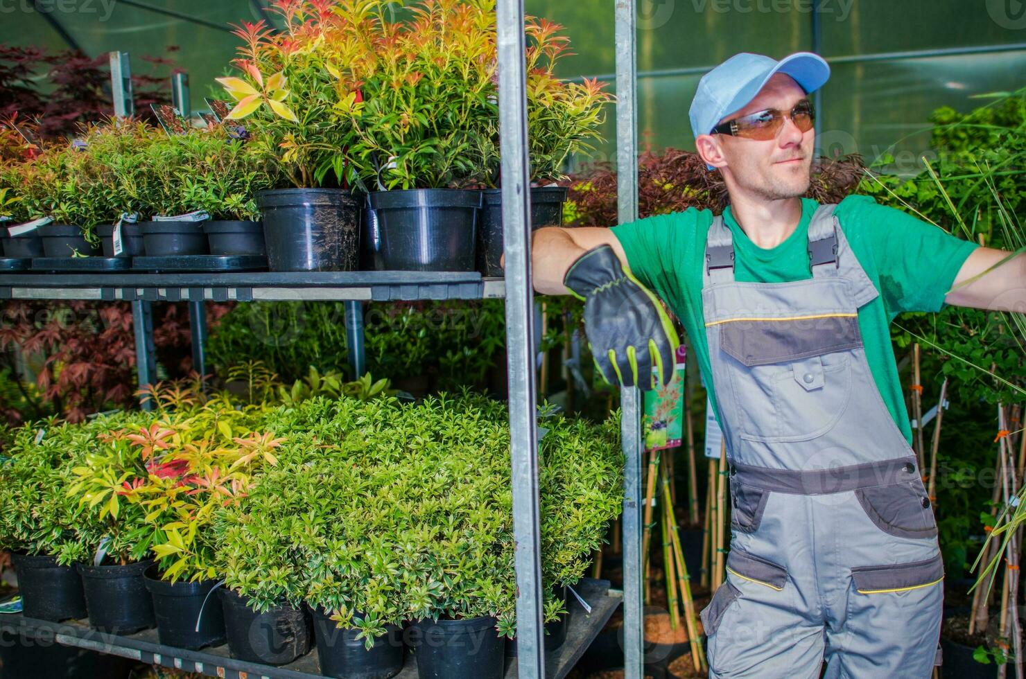 giardino attività commerciale lavoratore foto