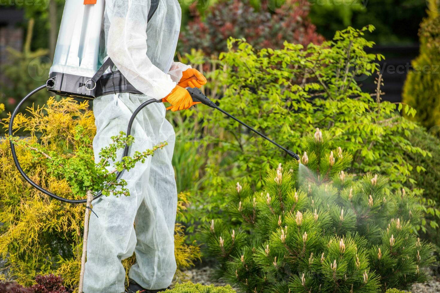 giardiniere l'esecuzione pesticida applicazione foto