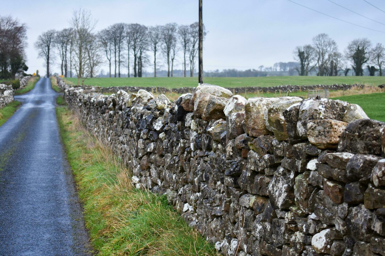 pietra muri nel Irlanda foto