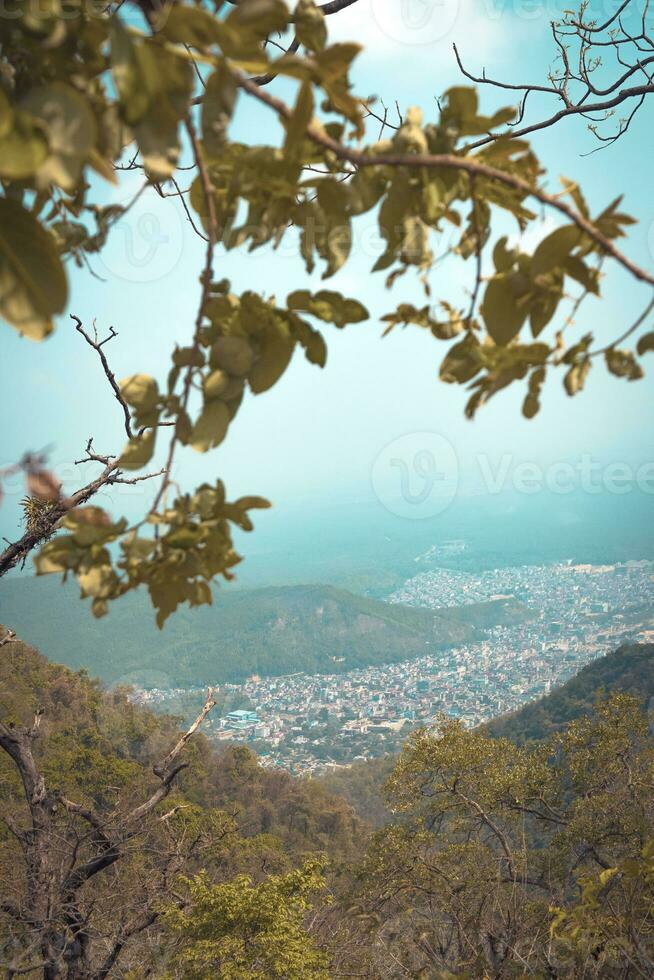 paesaggio urbano attraverso foresta foto