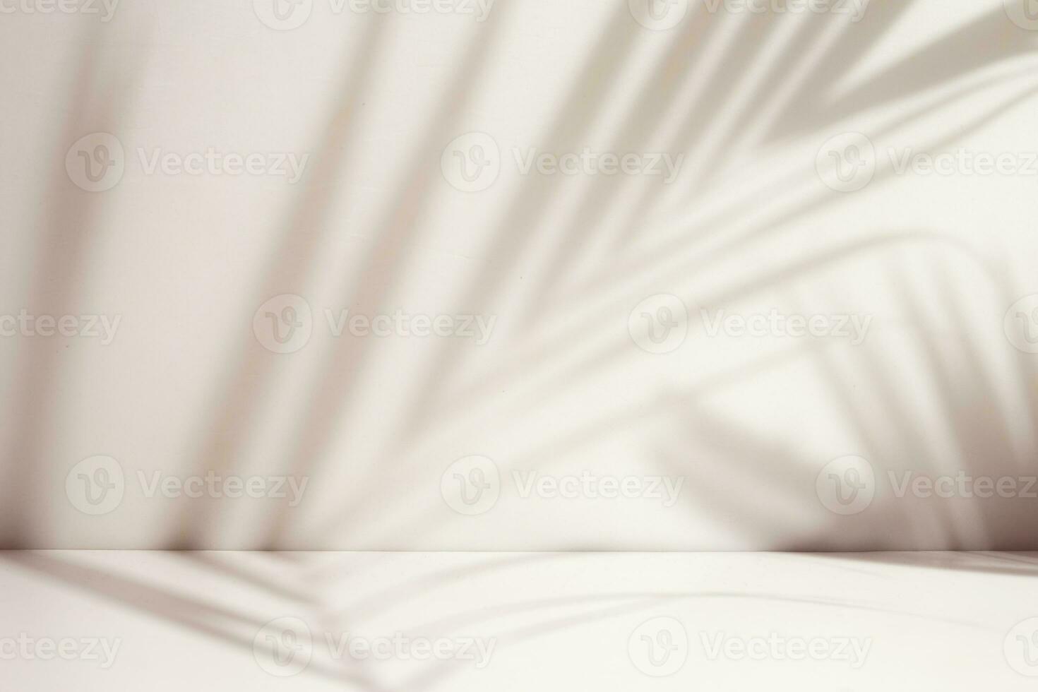 palma foglia ombra copertura nel minimo camera. caldo leggero camera per presentazione Prodotto foto