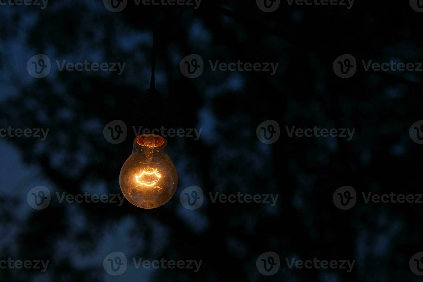 foto di giallo leggero lampadina raggiante a notte