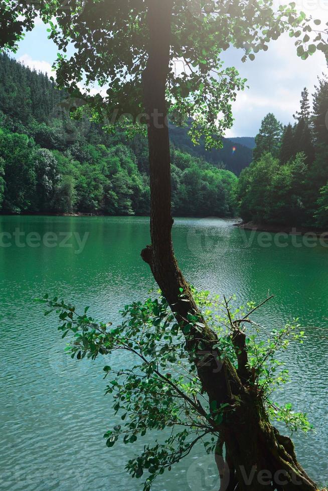 lago in montagna foto