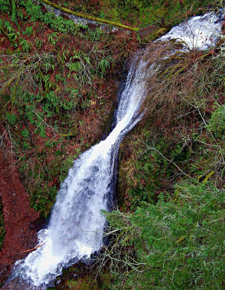 cadere nella gola del fiume dell shepperds dell falls columbia o foto