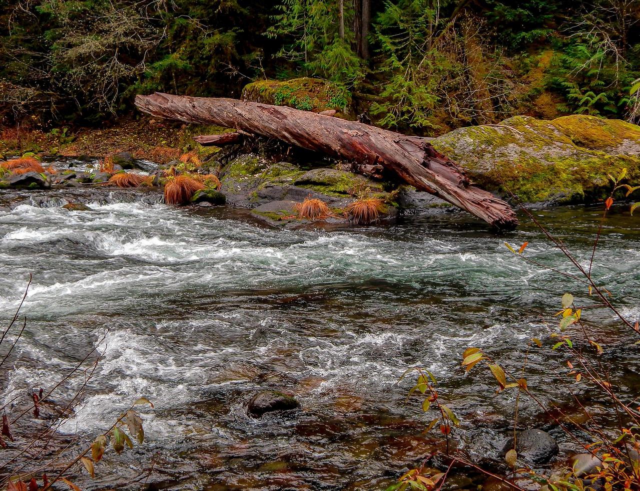 registro ripariale nord fiume santiam a whispering falls campeggio vicino a marion fork o foto