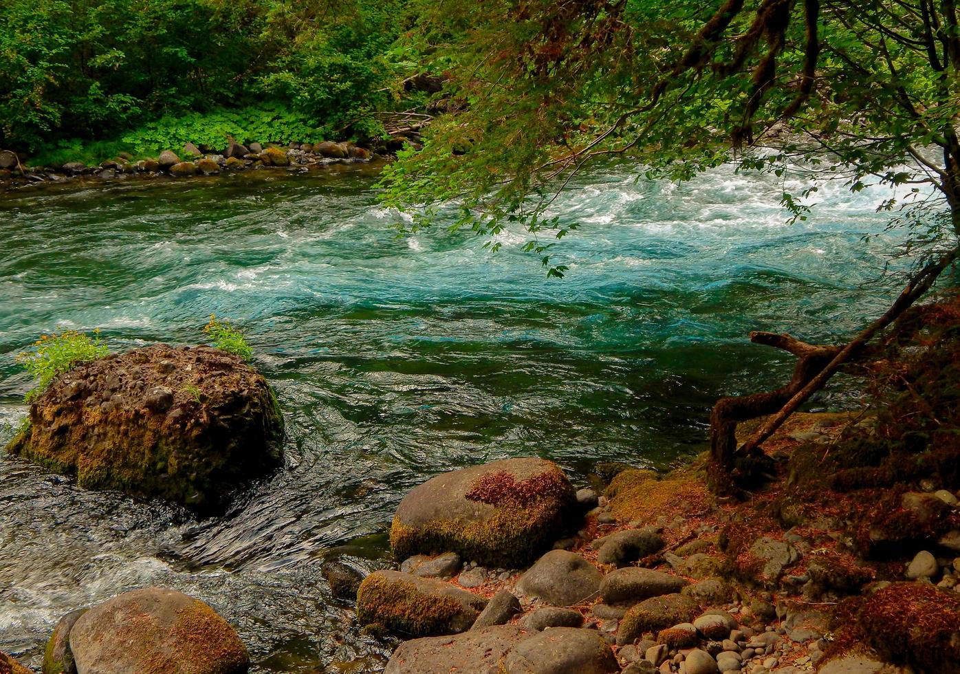 flusso verde smeraldo la gamma della cascata del fiume mckenzie vicino al lago chiaro o foto