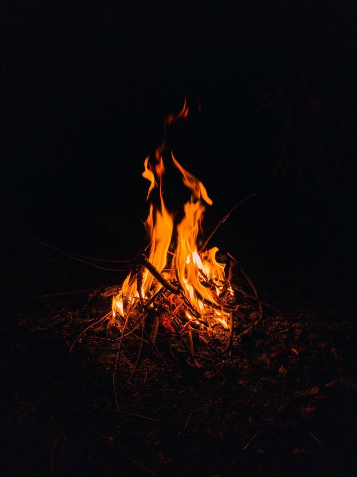 fuoco da campo nell'oscurità foto