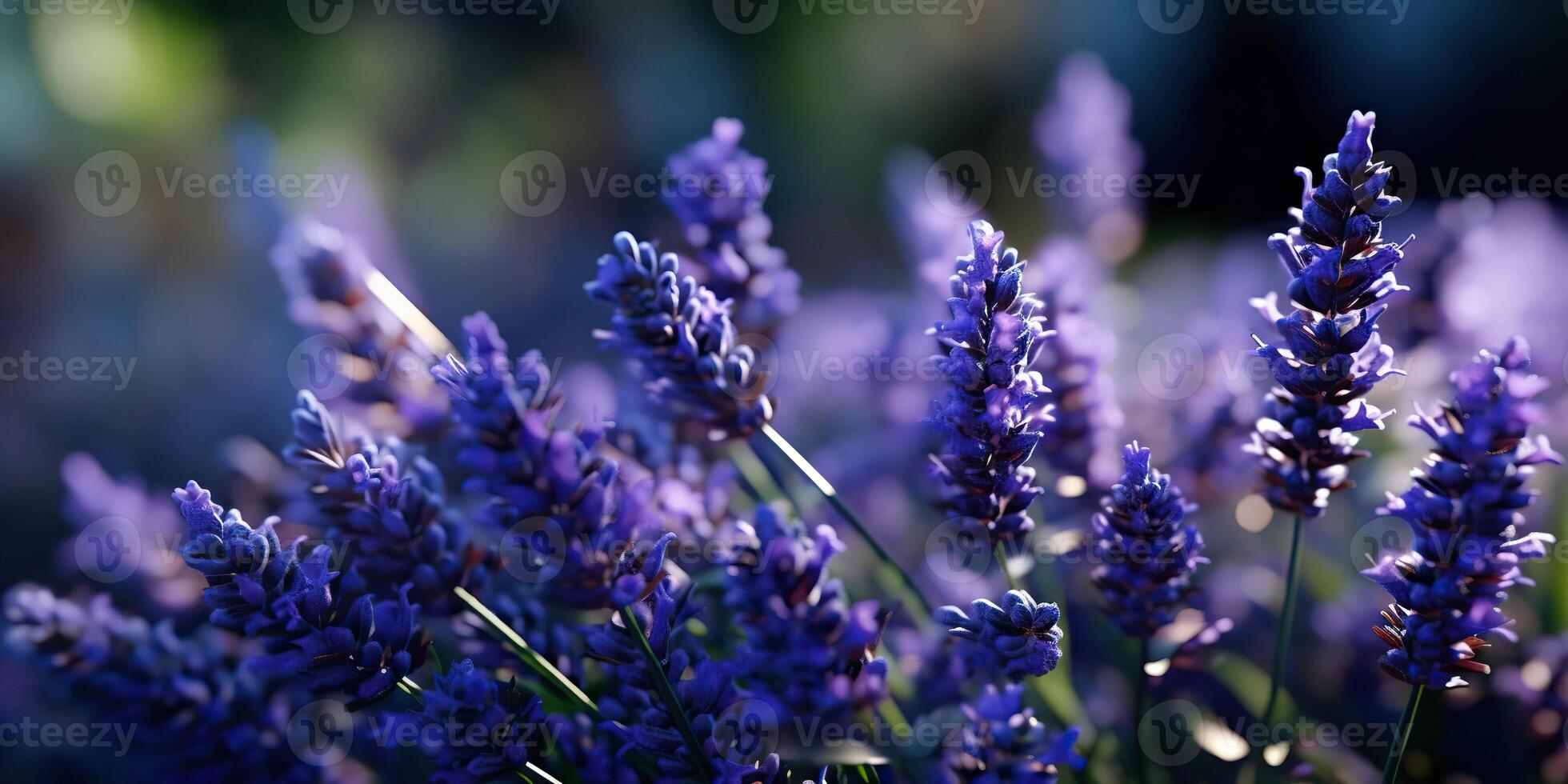 ai generato. ai generativo. lavanda pianta fiore macro tiro foto illustrazione. grafico arte