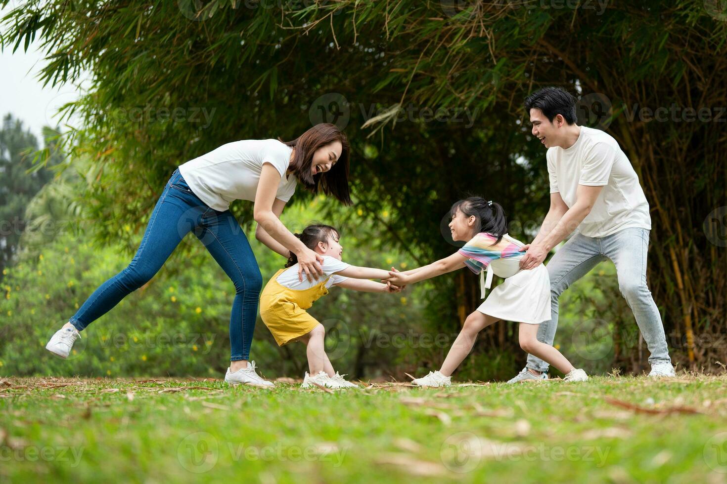 giovane asiatico famiglia nel il parco foto