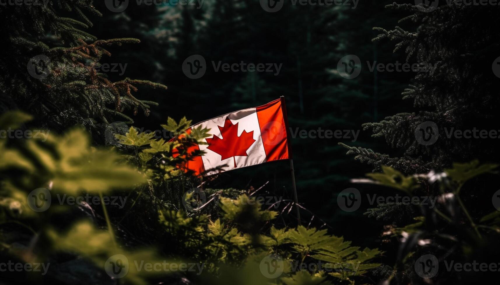 maestoso acero albero simboleggia canadese patriottismo e la libertà generato di ai foto