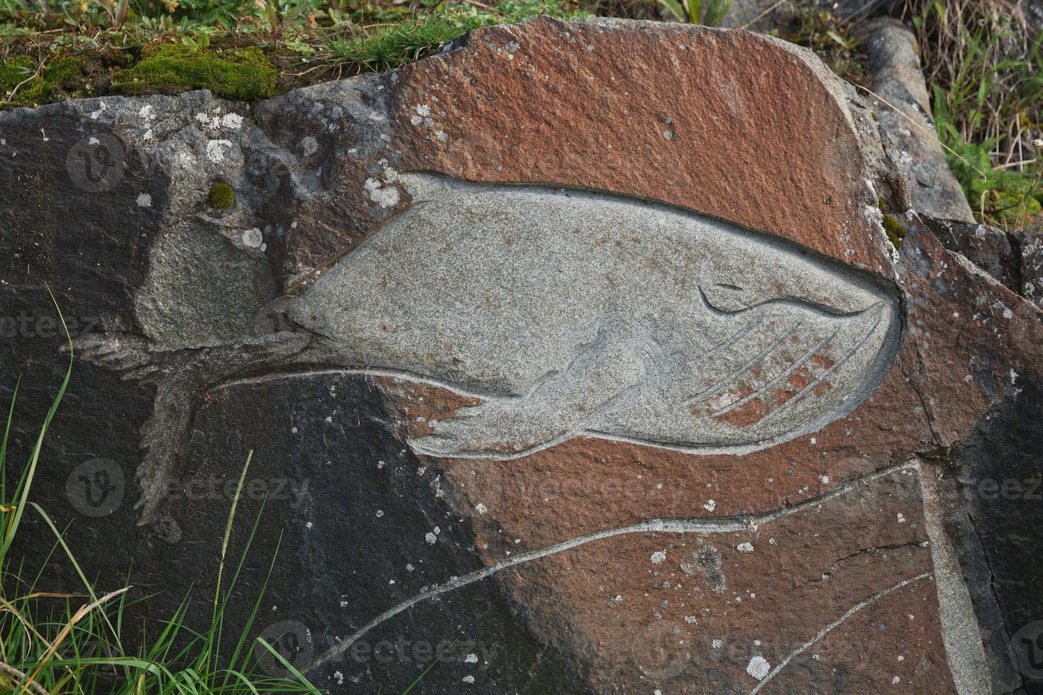 immagine della balena cesellata nelle rocce qaqortoq groenlandia foto