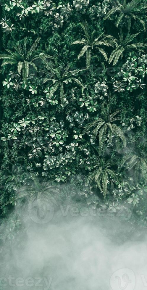 giardino verticale con foglia verde tropicale con nebbia e pioggia foto